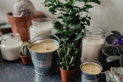 Therapeutic Grade Essential Oil Candles by Backyard Candles