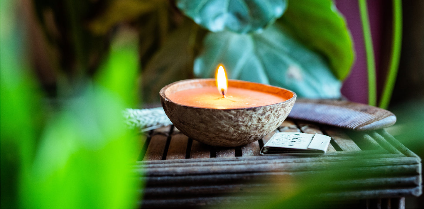 coconut shell indoor fragrances by backyard candles