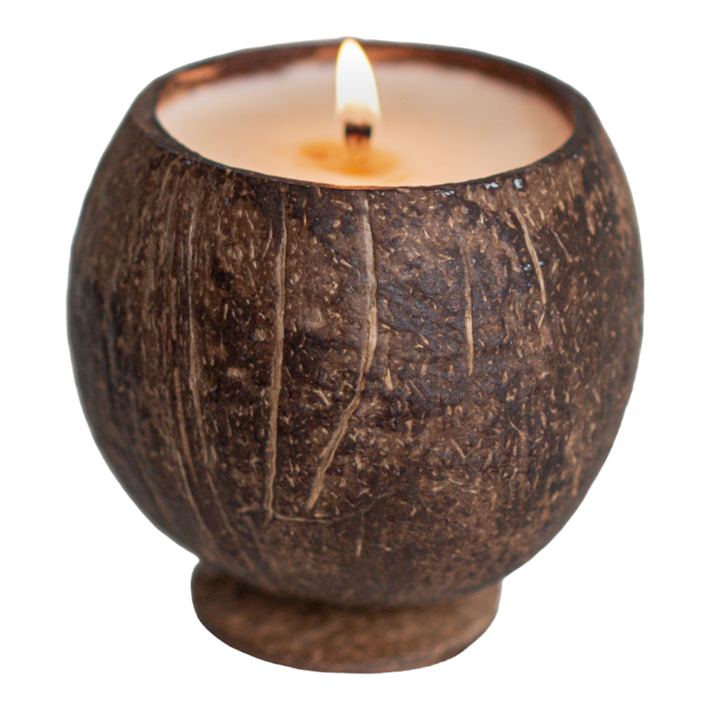 
                      
                        cotton wick coconut cup candle
                      
                    