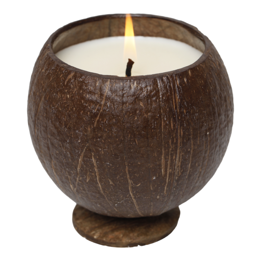 
                  
                    candle in a coconut
                  
                