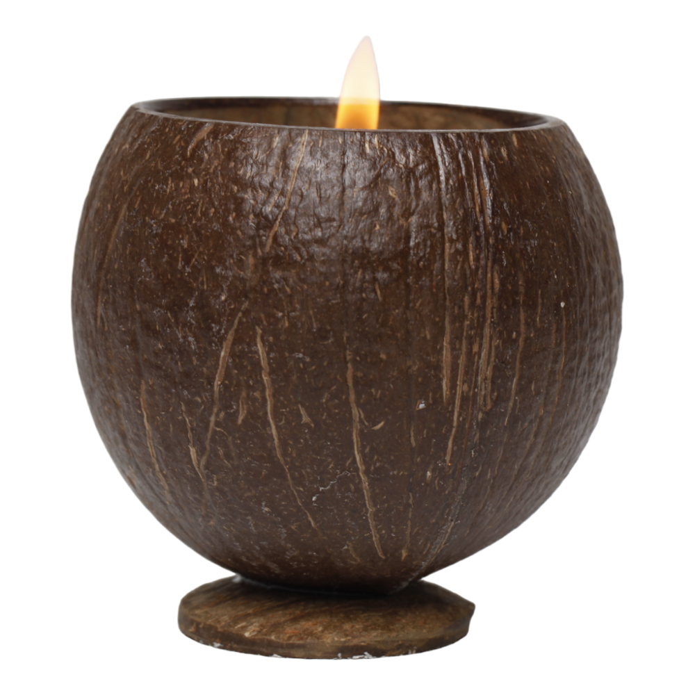 
                  
                    outdoor coconut cup candle
                  
                
