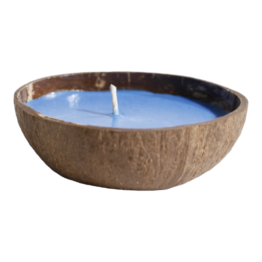 OVERSTOCK 4.5oz Coconut Shell Candle