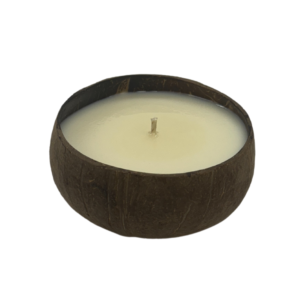 OVERSTOCK 6oz Coconut Bowl Candle