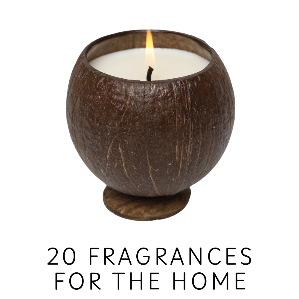 OVERSTOCK 10oz Coconut Cup Candle