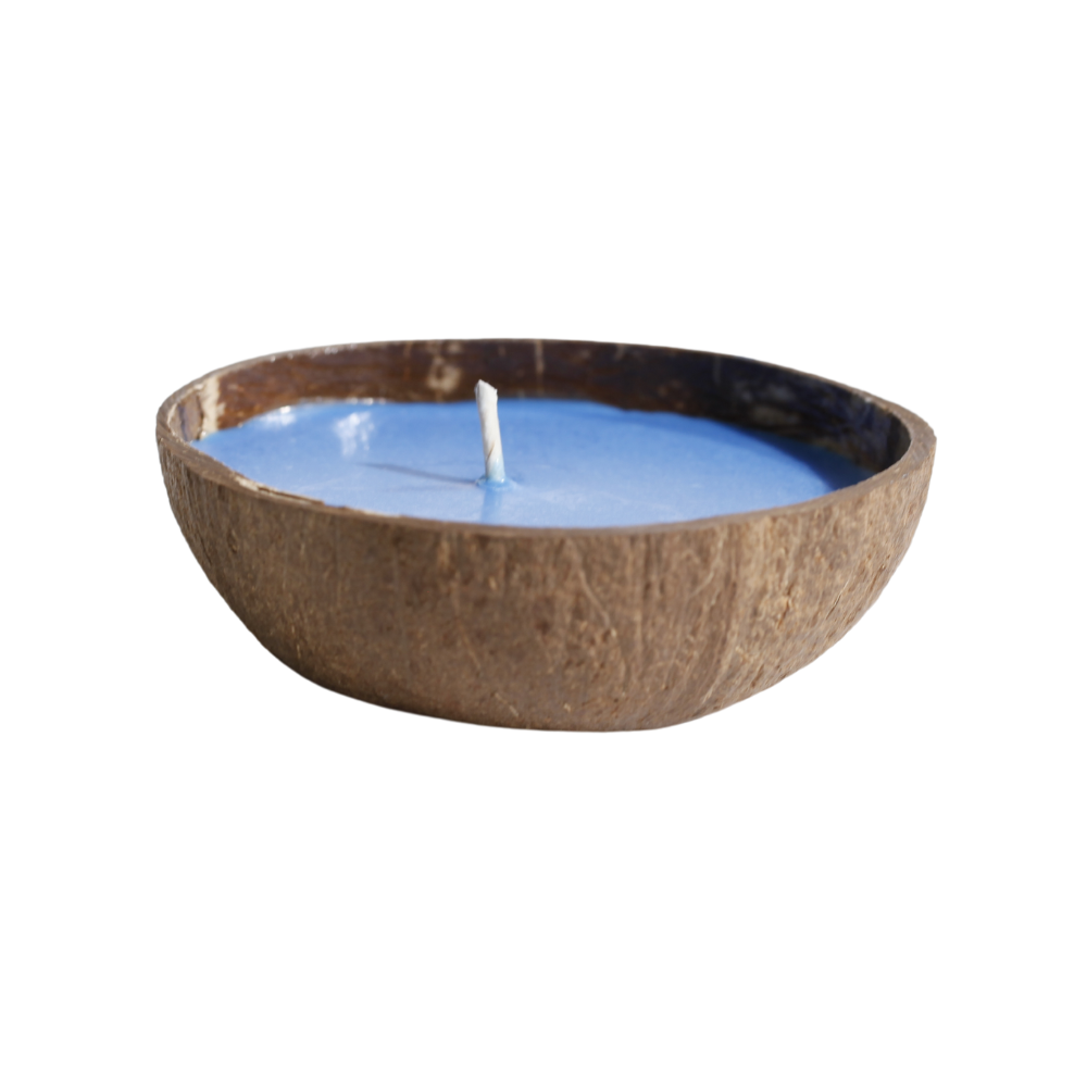 6oz coconut bowl candle