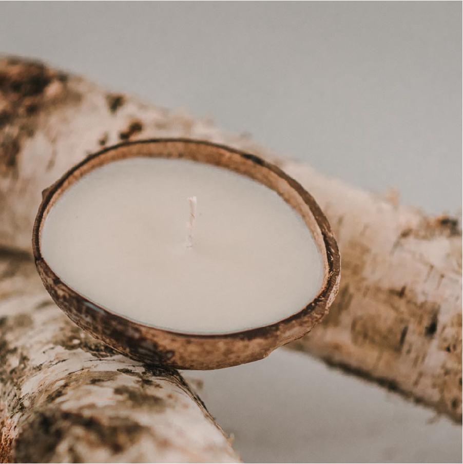 white birch candle