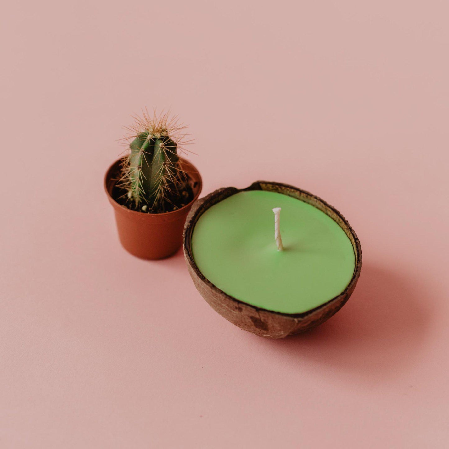 cactus scented candle 