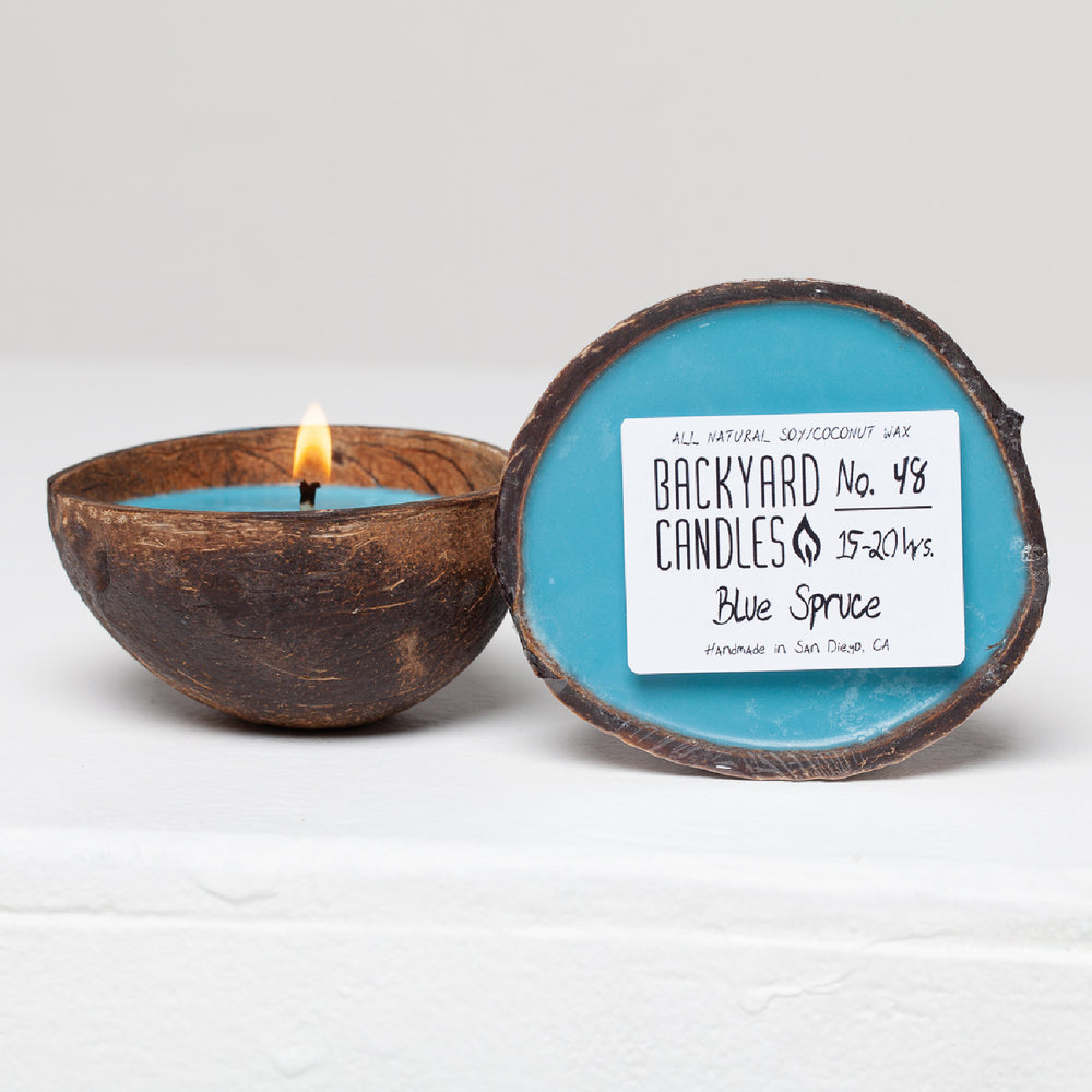 blue spruce coconut candle